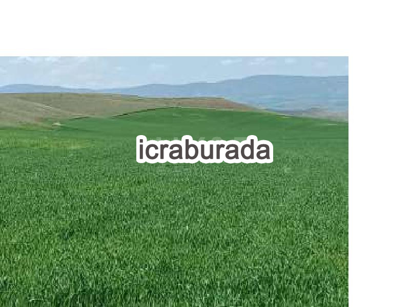 icralık  m2 Tarla Yozgat Yerköy Zencir