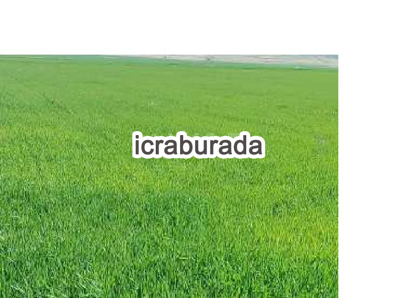 icralık  m2 Tarla Yozgat Yerköy Zencir