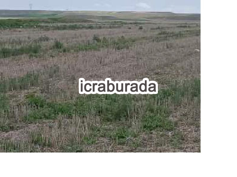 icralık  m2 Tarla Yozgat Yerköy Zencir