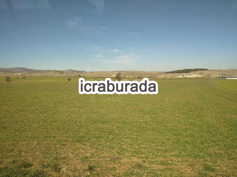 icralık  m2 Tarla Uşak Merkez Elmacik
