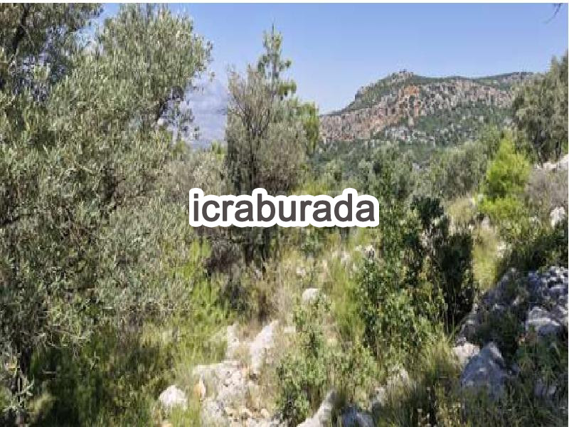 icralık  m2 Diger Antalya Kaş Çavdir