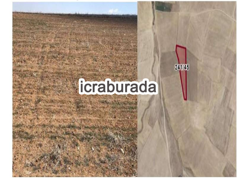 icralık  m2 Tarla Aksaray Merkez Doğantarla/kocatepe