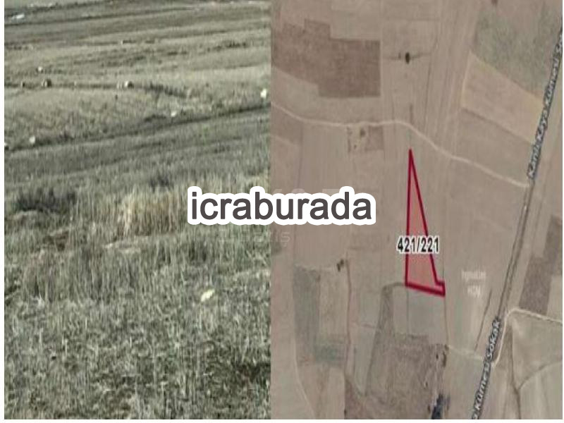 icralık  m2 Tarla Aksaray Merkez Doğantarla/kurtuluş