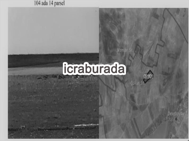 icralık  m2 Tarla Aksaray Merkez Çeltek