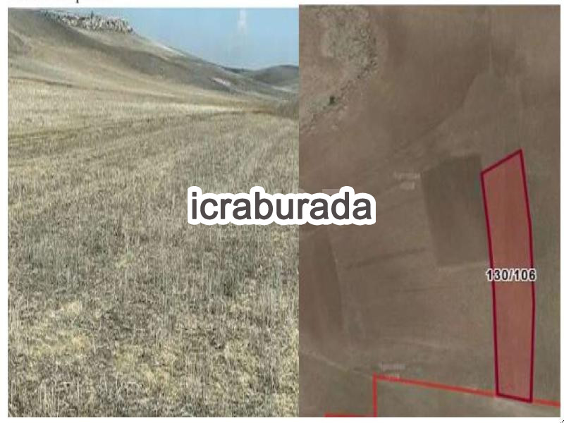 icralık  m2 Tarla Aksaray Gülağaç Çatalsu