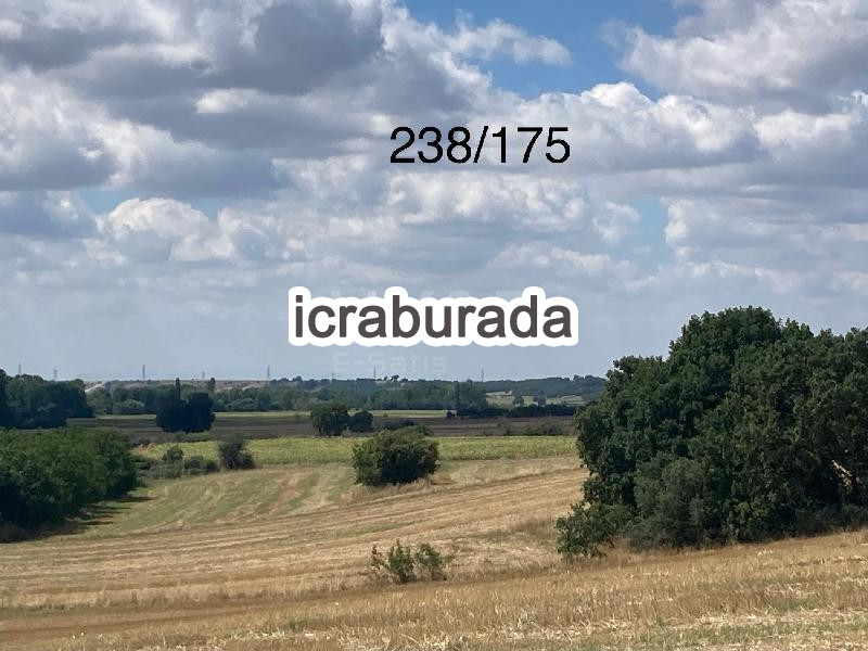 icralık  m2 Tarla Kırklareli Pınarhisar Cevizköy