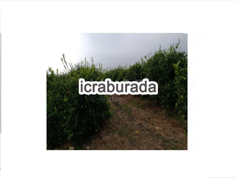 icralık  m2 Diger Belirtilmedi Belirtilmedi Belirtilmedi