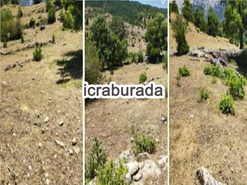 icralık  m2 Tarla Isparta Sütçüler Aşağiyaylabel
