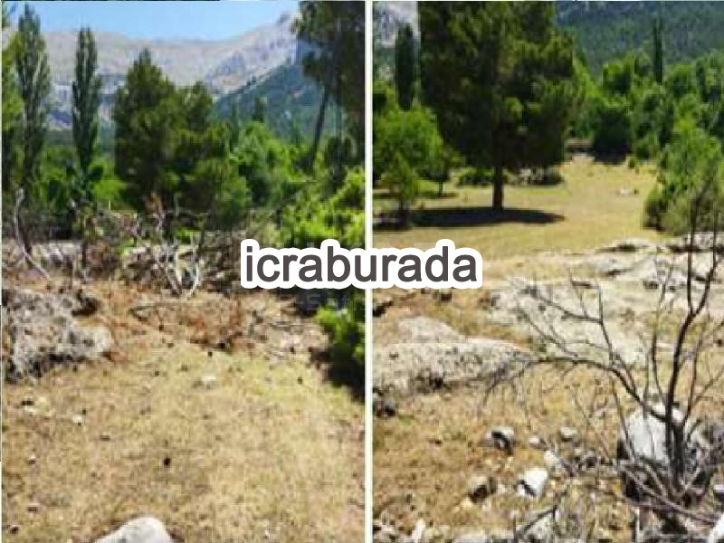 icralık  m2 Tarla Isparta Sütçüler Aşağiyaylabel