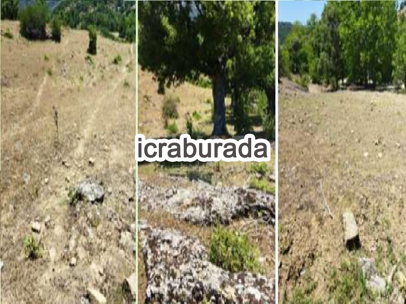 icralık  m2 Tarla Isparta Sütçüler Aşağiyaylabel