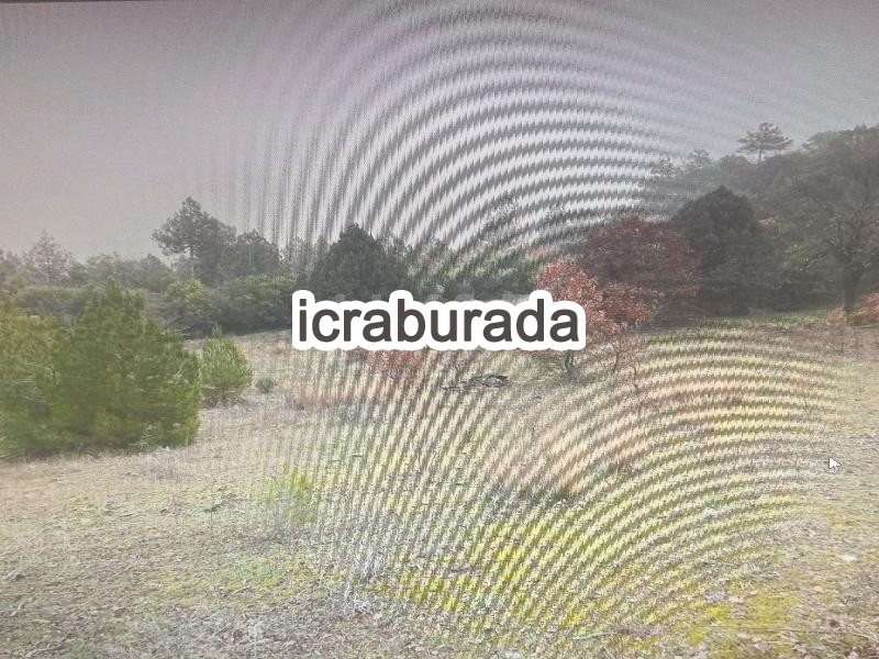 icralık  m2 Tarla Balıkesir Dursunbey Çinar