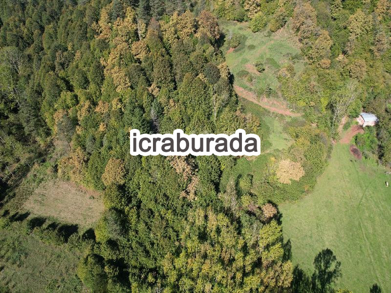 icralık  m2 Tarla Bartın Merkez Arit