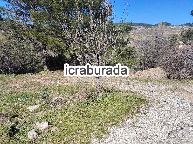 icralık  m2 Tarla İzmir Kemalpaşa Damlacik