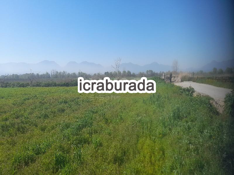 icralık  m2 Tarla Belirtilmedi Belirtilmedi Belirtilmedi