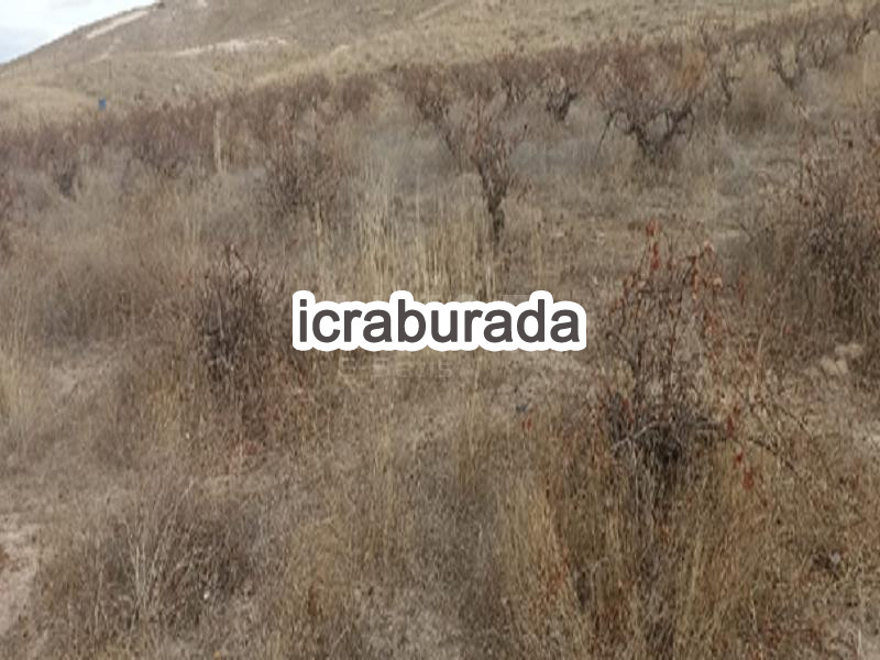 icralık  m2 Tarla Nevşehir Merkez Sulusaray