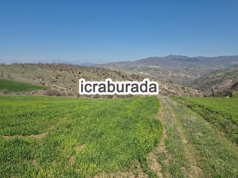 icralık  m2 Tarla Çorum İskilip Soğucak