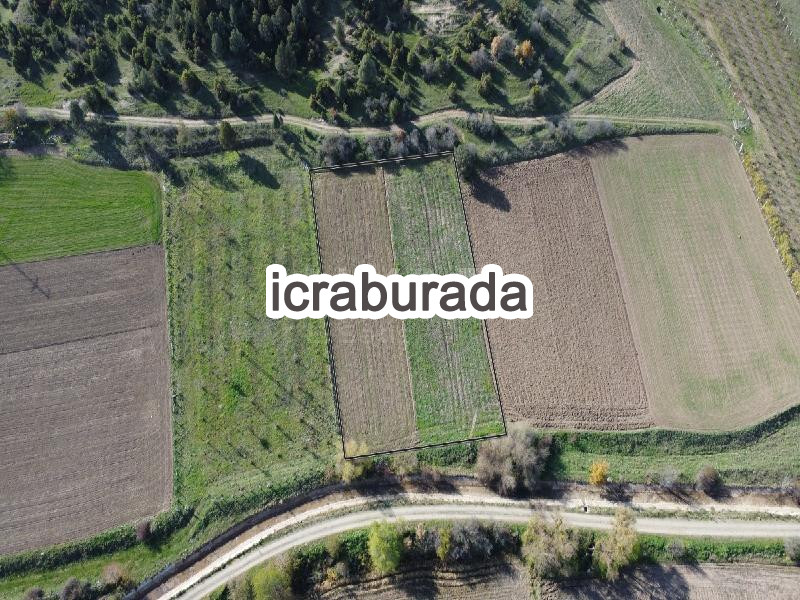 icralık  m2 Tarla Kütahya Tavşanlı Kuruçay/güzelyurt