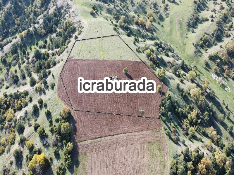 icralık  m2 Tarla Kütahya Tavşanlı Kuruçay/güzelyurt