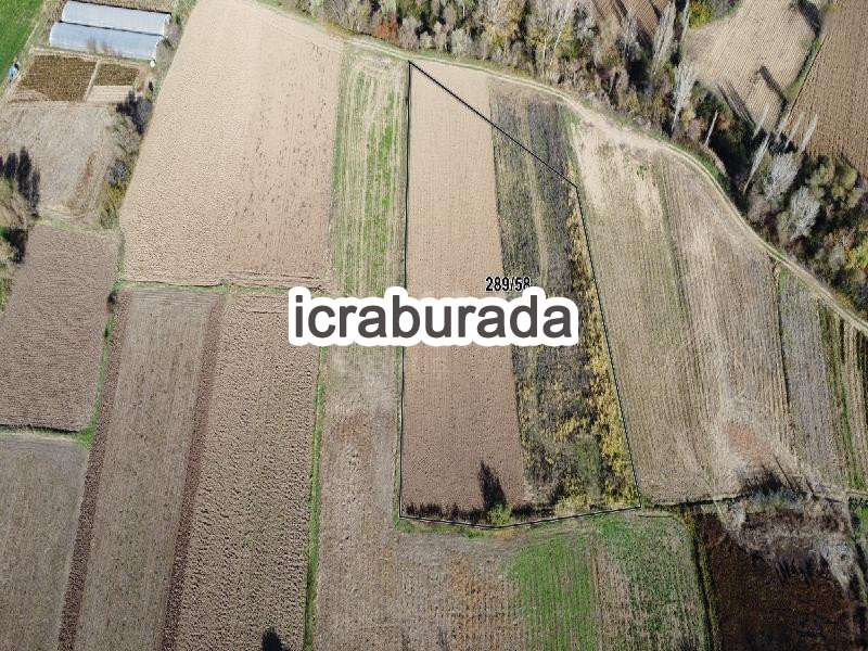 icralık  m2 Diger Kütahya Tavşanlı Kuruçay/güzelyurt