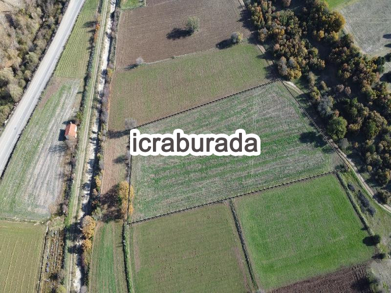 icralık  m2 Tarla Kütahya Tavşanlı Kuruçay/güzelyurt
