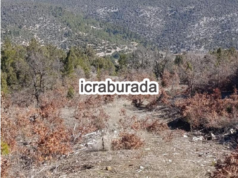 icralık  m2 Tarla Isparta Sütçüler Belen