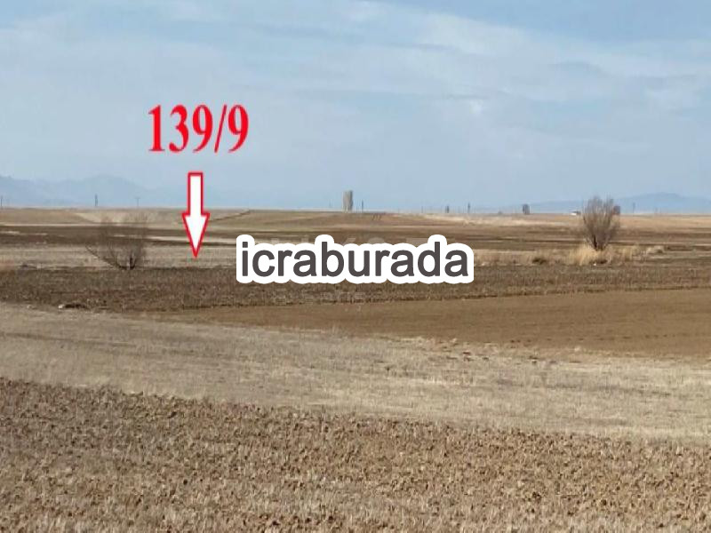 icralık  m2 Tarla Belirtilmedi Belirtilmedi Belirtilmedi