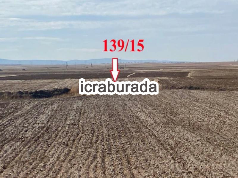 icralık  m2 Tarla Belirtilmedi Belirtilmedi Belirtilmedi