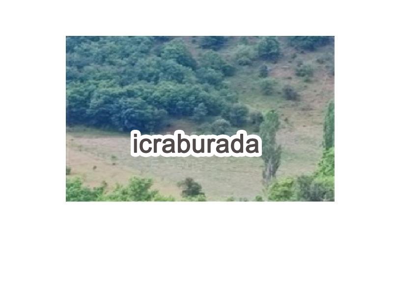 icralık  m2 Tarla Balıkesir Sındırgı Mumcu