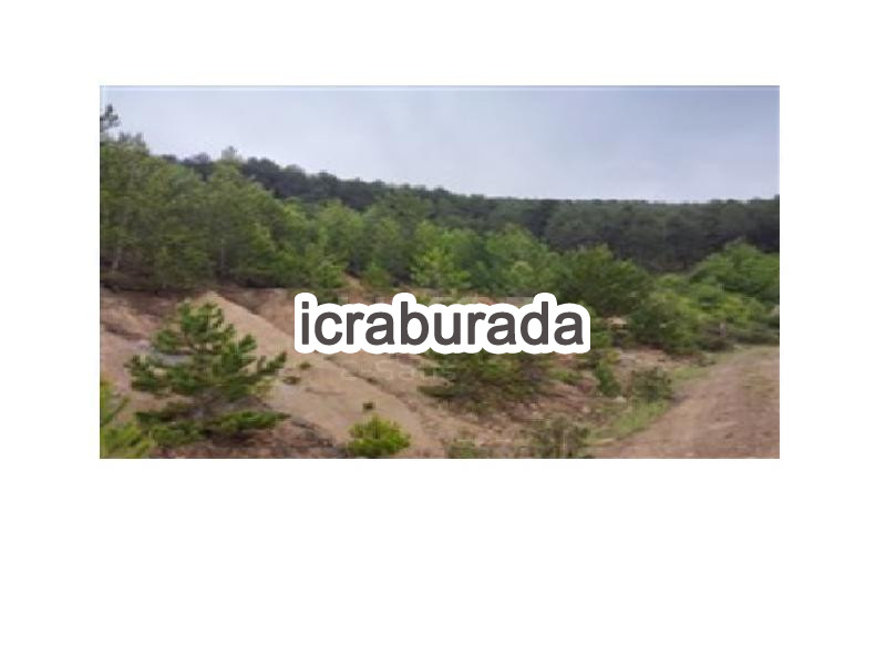 icralık  m2 Tarla Balıkesir Sındırgı Kürendere