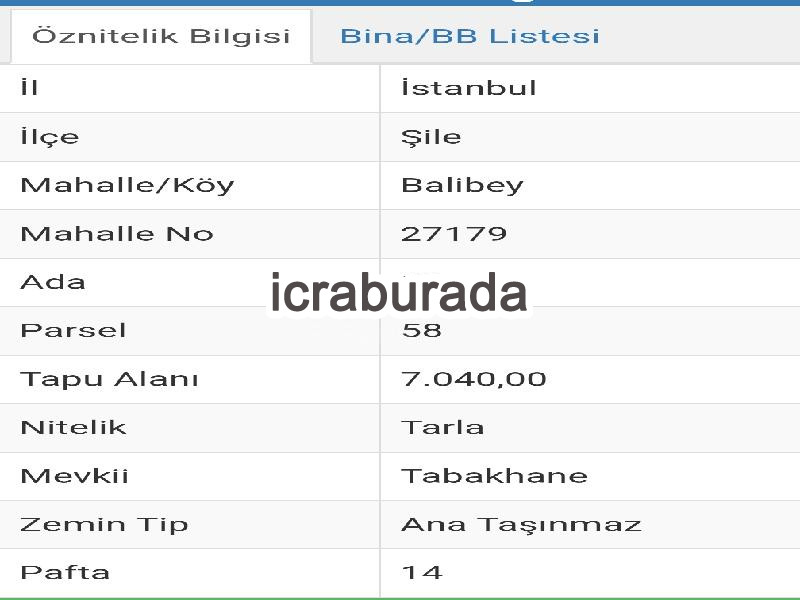 icralık  m2 Tarla İstanbul Şile Balibey