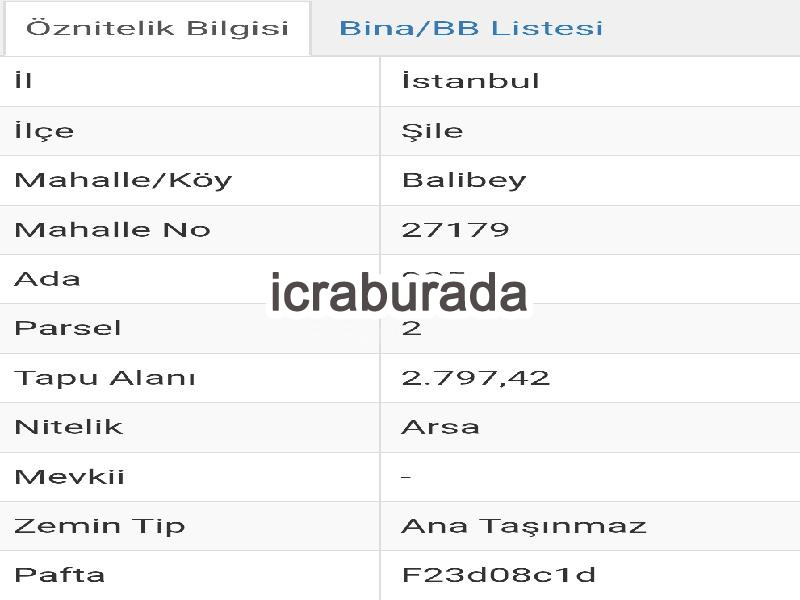 icralık  m2 Tarla İstanbul Şile Balibey