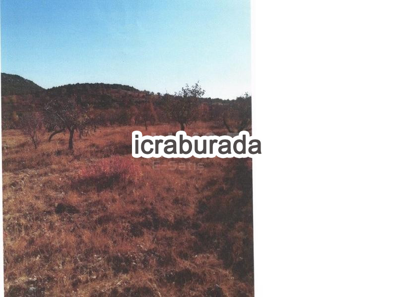 icralık  m2 Bag Adıyaman Besni Pinarbaşi