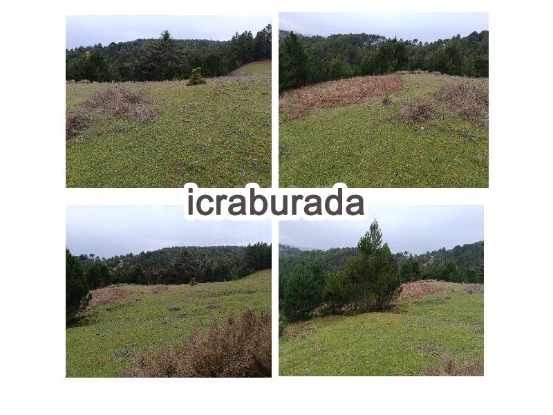 icralık  m2 Tarla Bursa Osmangazi Mürseller