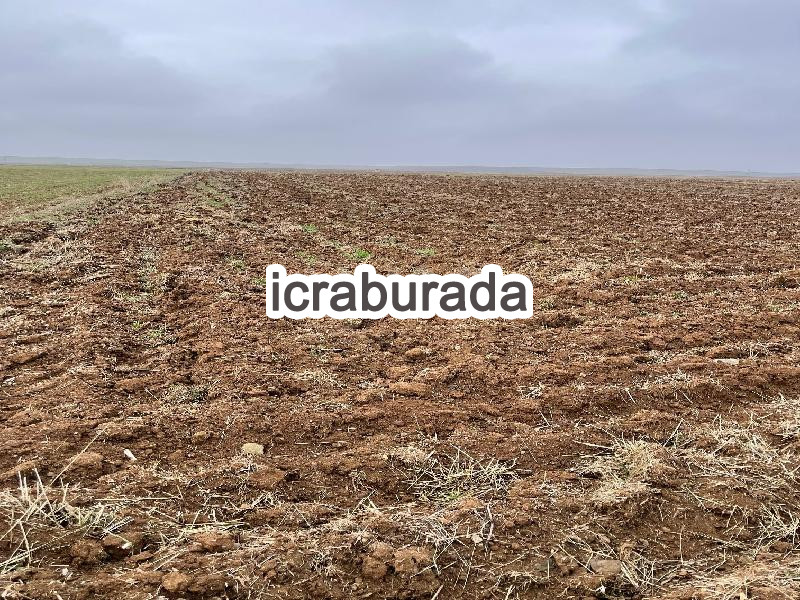 icralık  m2 Tarla Eskişehir Tepebaşı Gündüzler