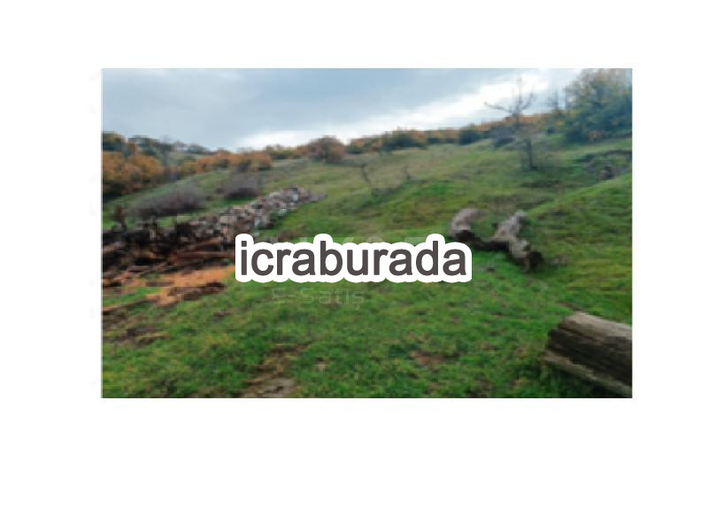 icralık  m2 Tarla Balıkesir Sındırgı Osmanlar