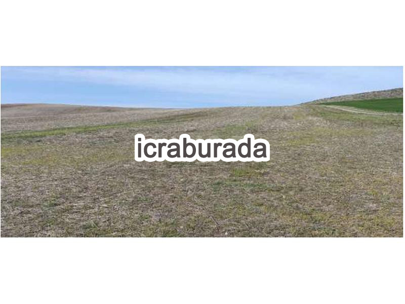 icralık  m2 Tarla Yozgat Yerköy Susuz