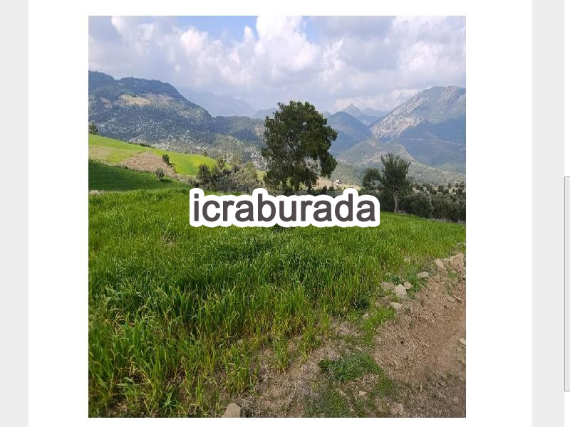 icralık  m2 Tarla Adana Kozan Bağözü