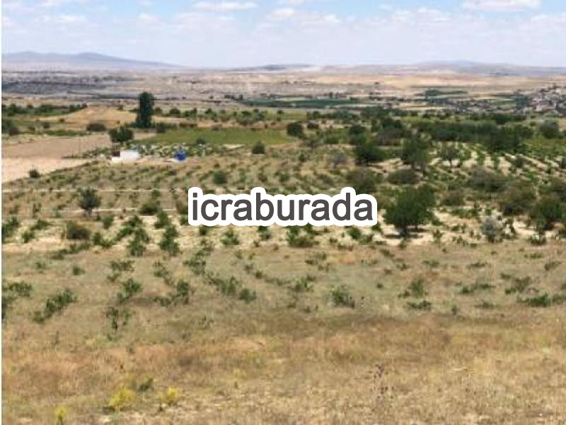 icralık  m2 Tarla Aksaray Güzelyurt Selime/kayaalti