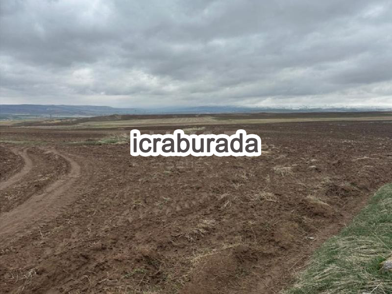 icralık  m2 Tarla Kayseri Sarıoğlan Çiftlik/hürriyet