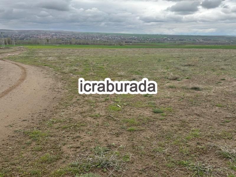 icralık  m2 Tarla Kayseri Sarıoğlan Çiftlik/dervişağa