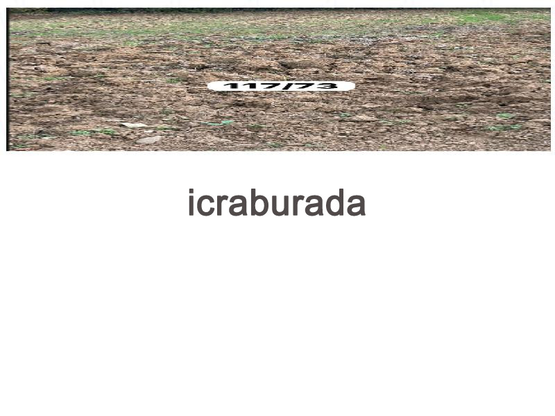 icralık  m2 Tarla Sinop Merkez Taypakli