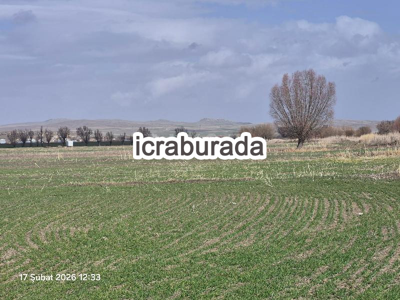 icralık  m2 Tarla Nevşehir Gülşehir Ovaören
