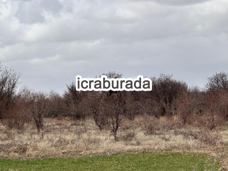 icralık  m2 Tarla Nevşehir Gülşehir Ovaören