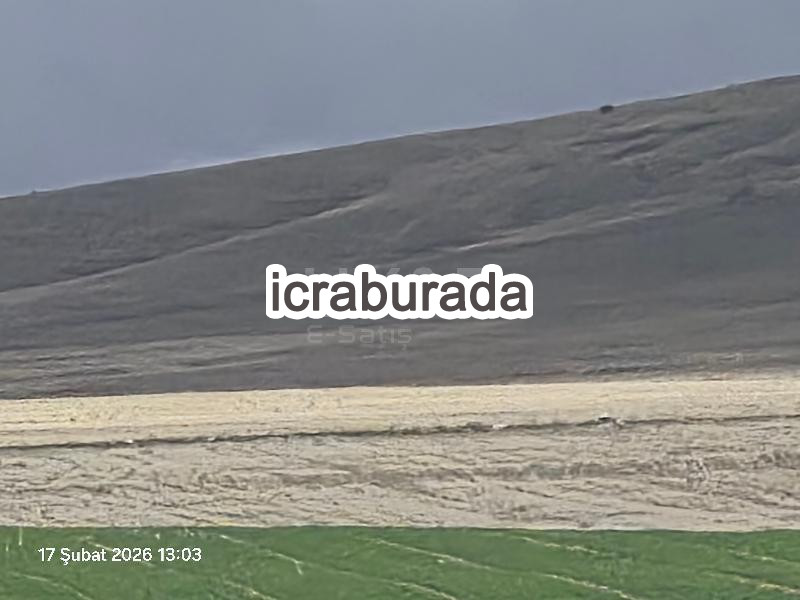 icralık  m2 Tarla Nevşehir Gülşehir Ovaören