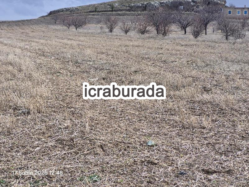 icralık  m2 Tarla Nevşehir Gülşehir Ovaören