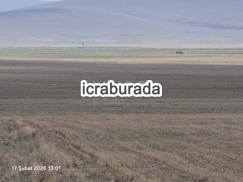 icralık  m2 Tarla Nevşehir Gülşehir Ovaören