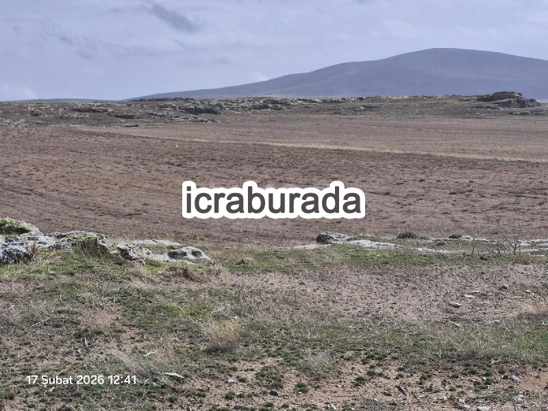 icralık  m2 Tarla Nevşehir Gülşehir Ovaören