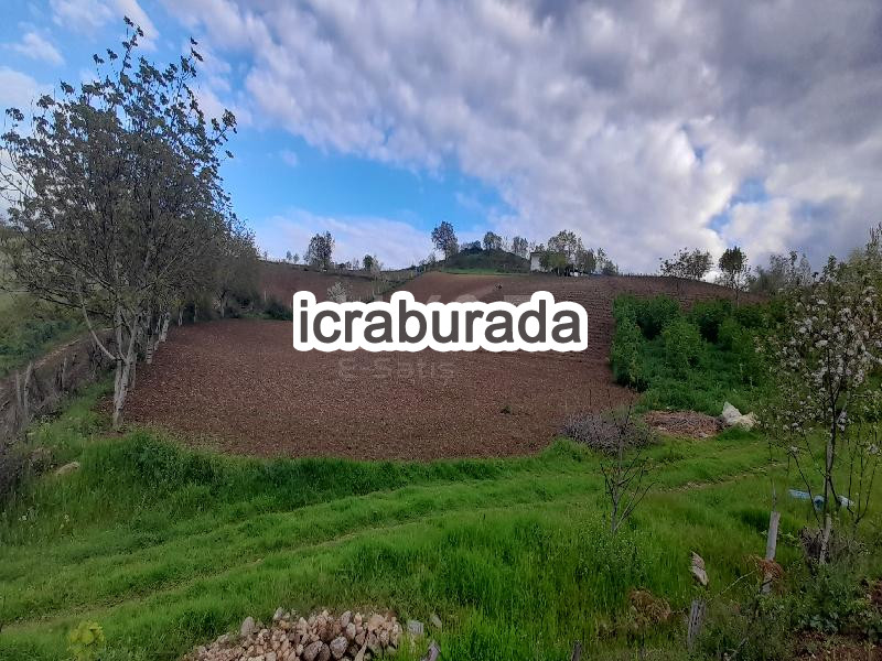 icralık  m2 Tarla Tokat Erbaa Tosunlar