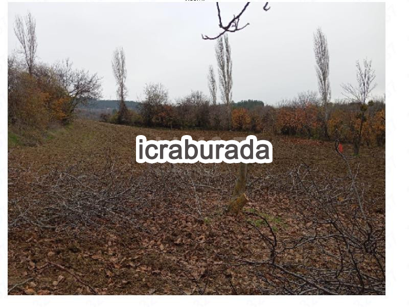 icralık  m2 Diger Kütahya Emet Sülye/merkez