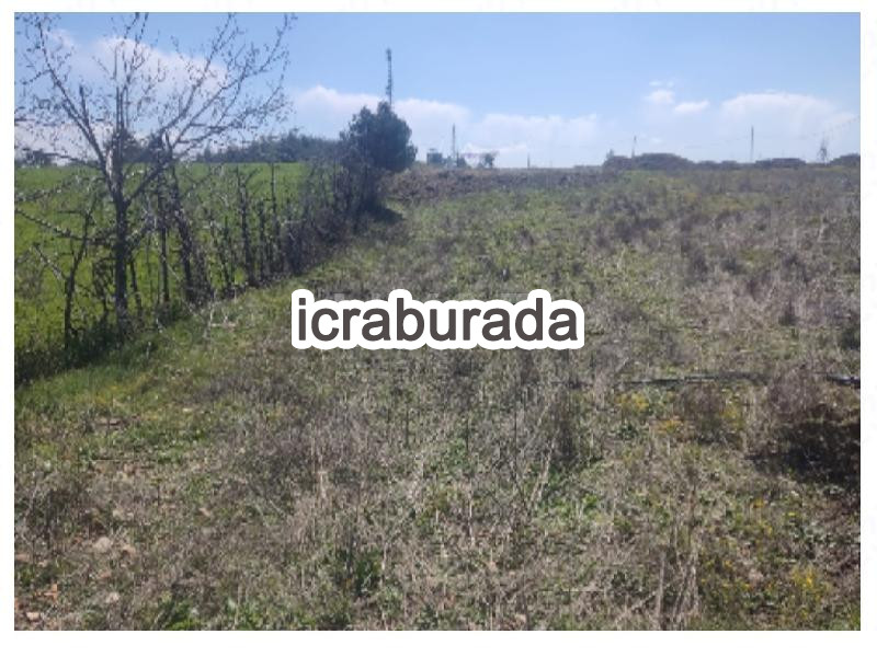 icralık  m2 Tarla Hatay Yayladağı Çabala